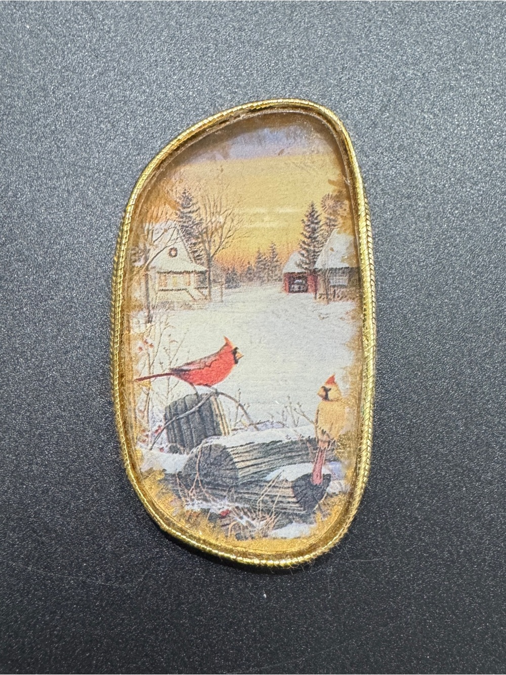 Vintage Winter Cardinal Scene Oval Pin with Gold Trim